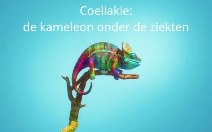 Kameleonl liggend.jpeg