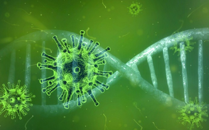 coronavirus-4833754_1920.jpg